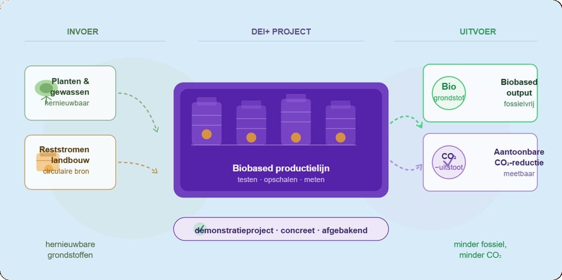 DEI+ Biobased: wanneer komt jouw project in aanmerking?